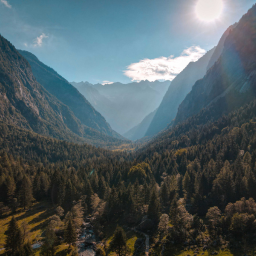 Nature Image